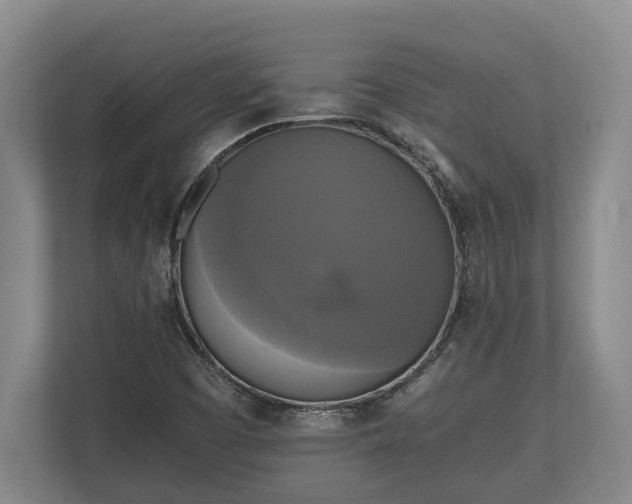 X0000110321457200905281623