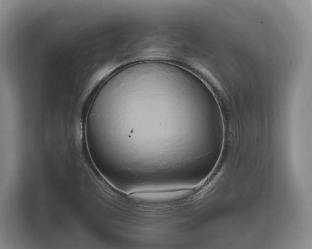 X0000110321461200905281623