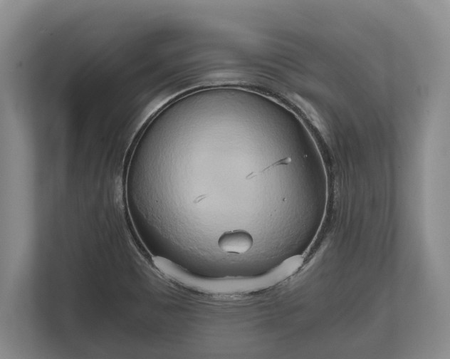 X0000110321465200905281623