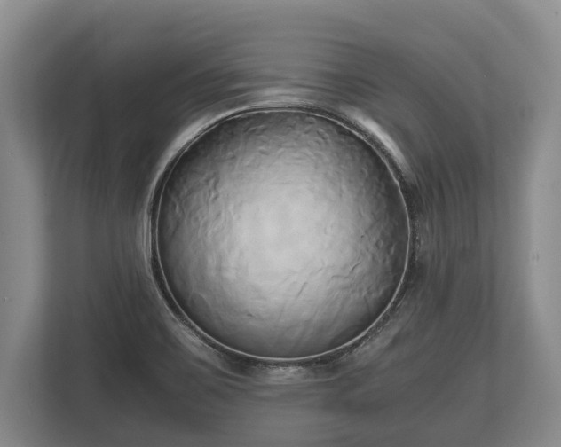 X0000110321467200905281623