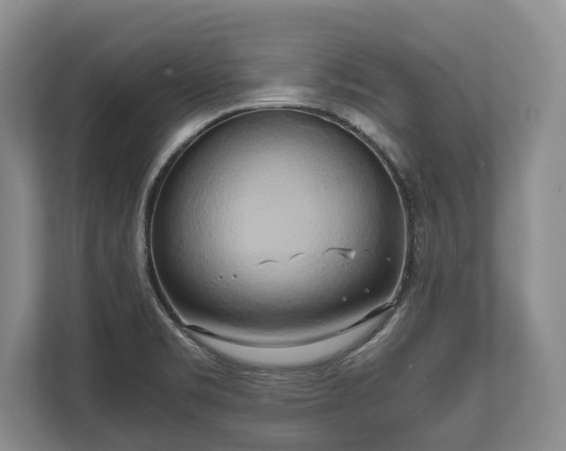 X0000110321469200905281623