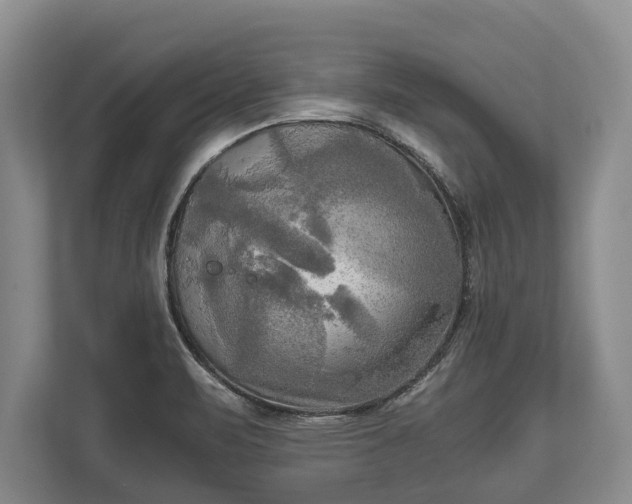 X0000110321471200905281623