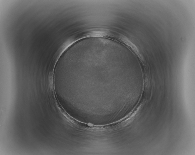 X0000110321473200905281623