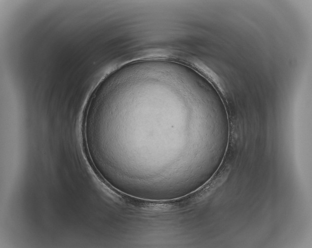 X0000110321475200905281623