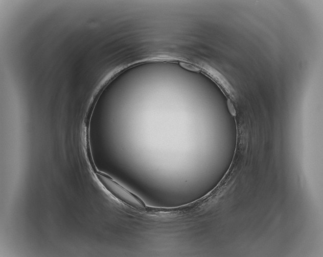 X0000110321476200905281623