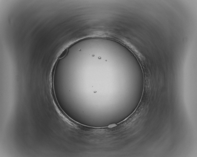 X0000110321479200905281622