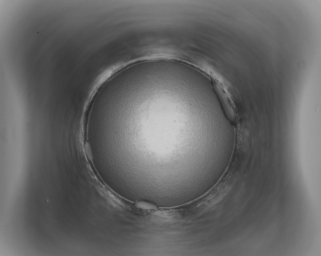 X0000110321480200905281622