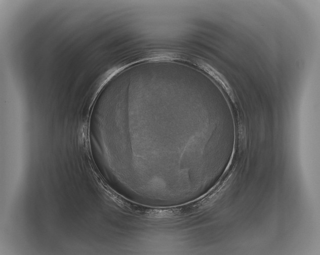 X0000110321481200905281622