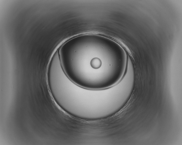 X0000110321484200905281622