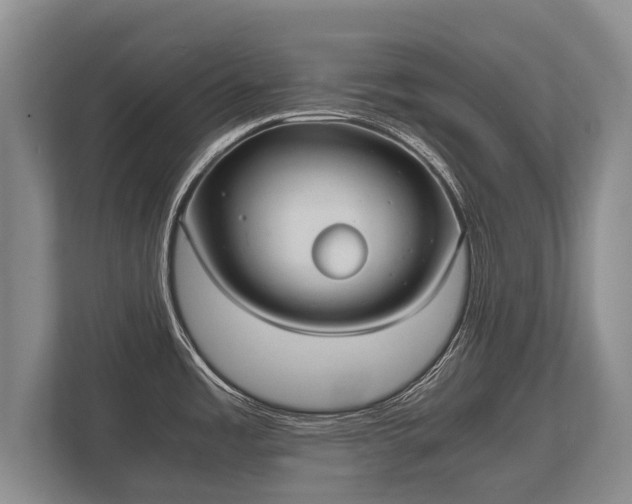 X0000110321485200905281622