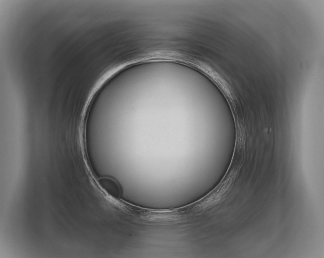 X0000110321486200905281622