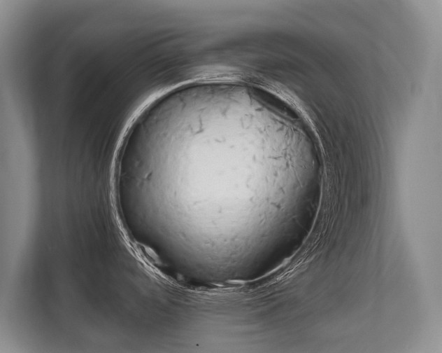 X0000110321488200905281622