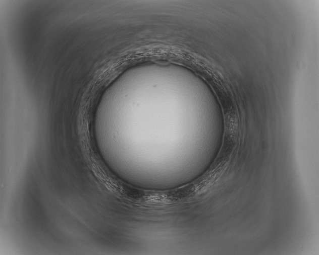 X0000110321489200905281622