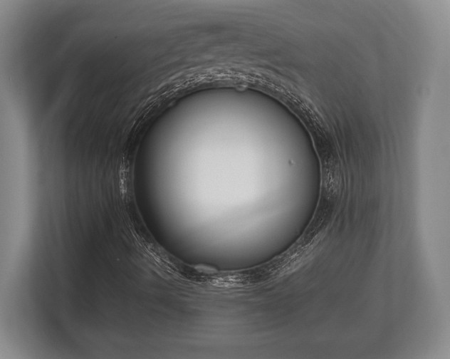 X0000110321490200905281622