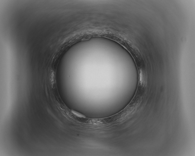 X0000110321492200905281622