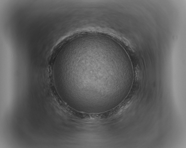 X0000110321494200905281622