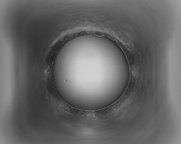 X0000110321495200905281622