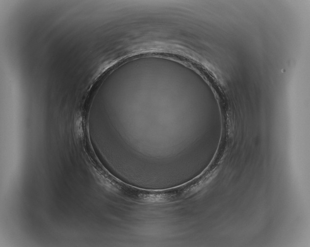 X0000110321497200905281622