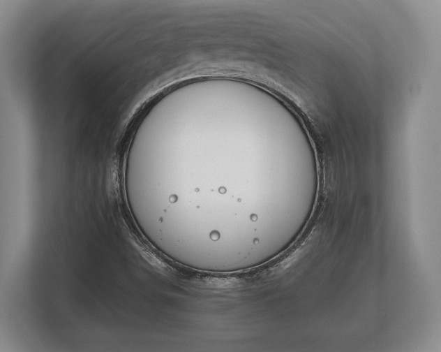 X0000110321498200905281622