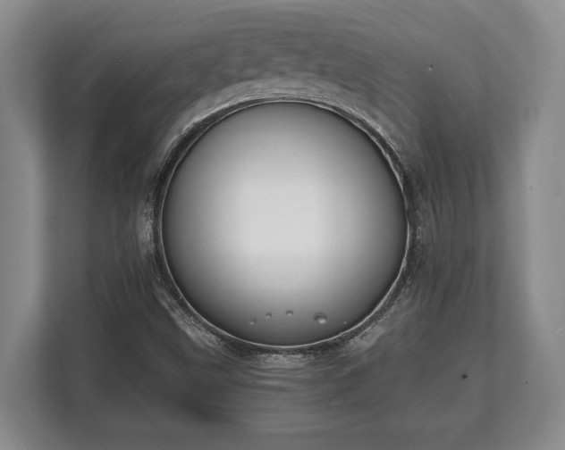 X0000110321499200905281622