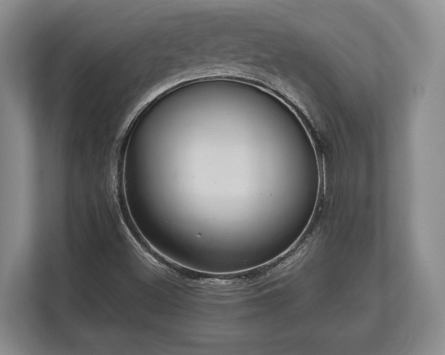 X0000110321500200905281622