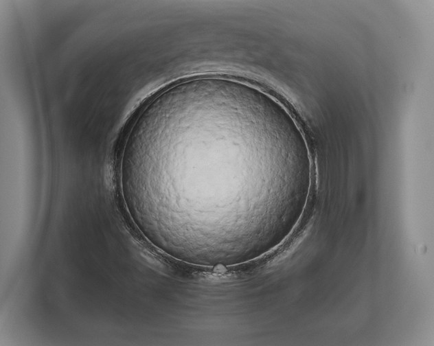 X0000110321501200905281622