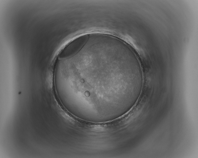 X0000110321504200905281622