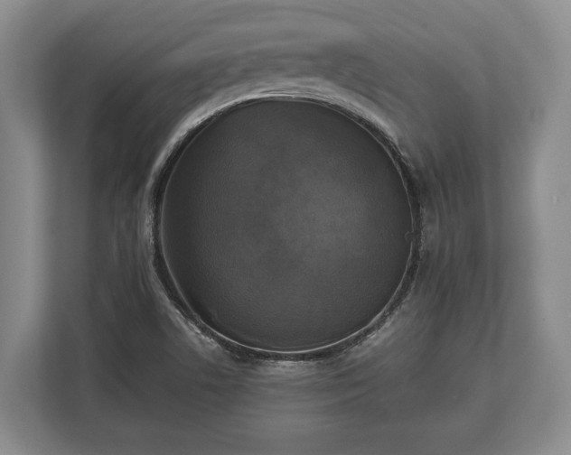 X0000110321506200905281622