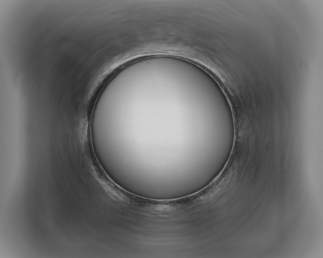 X0000110321507200905281622