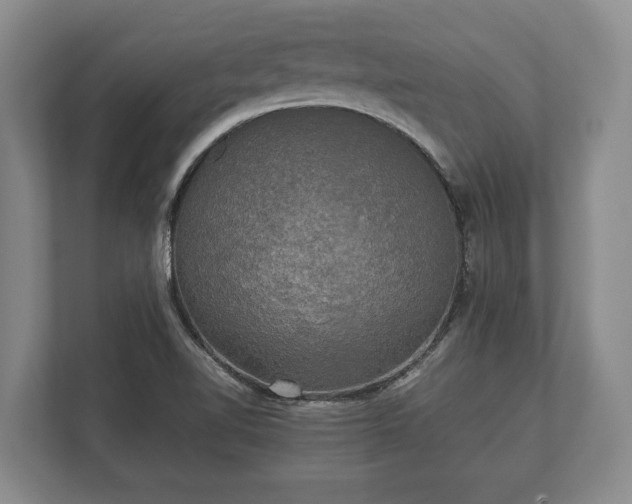 X0000110321510200905281622