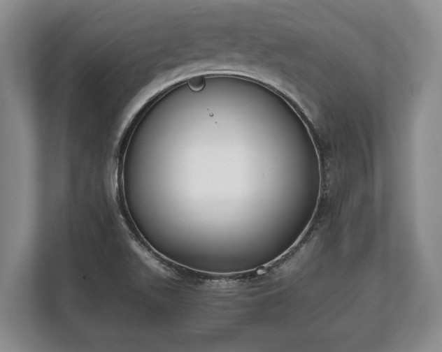 X0000110321511200905281622