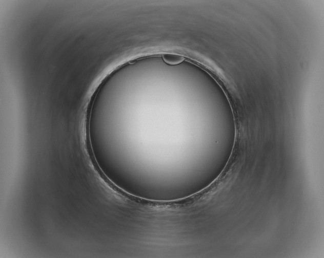 X0000110321512200905281622