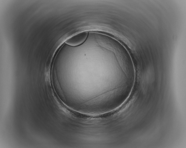 X0000110321513200905281622