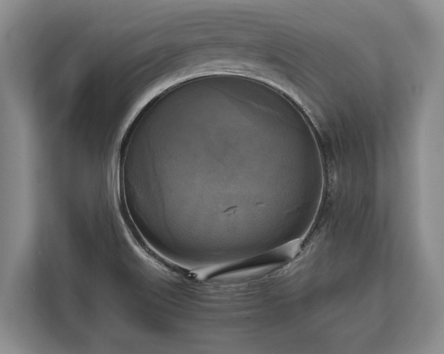 X0000110321515200905281622