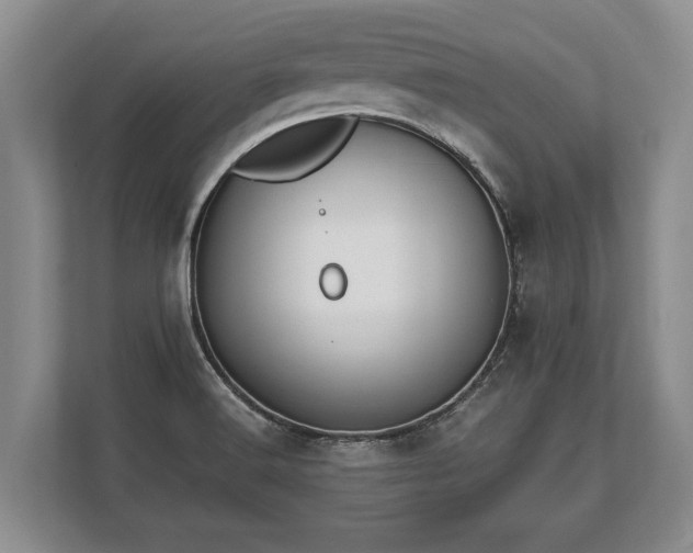 X0000110321516200905281622