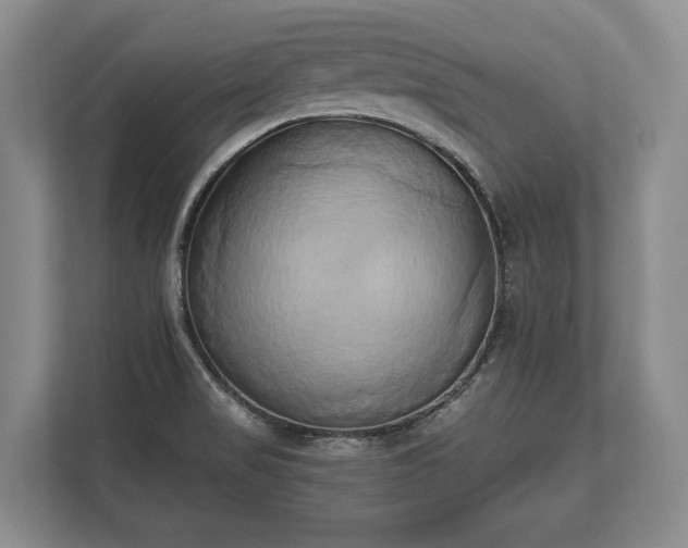 X0000110321517200905281622