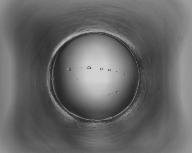 X0000110321518200905281622