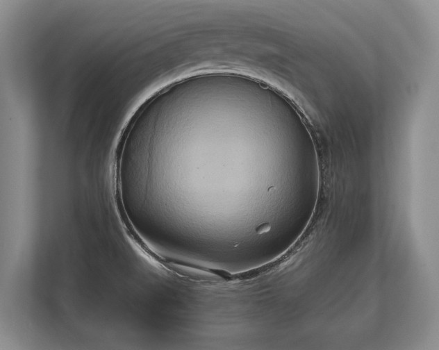 X0000110321519200905281622