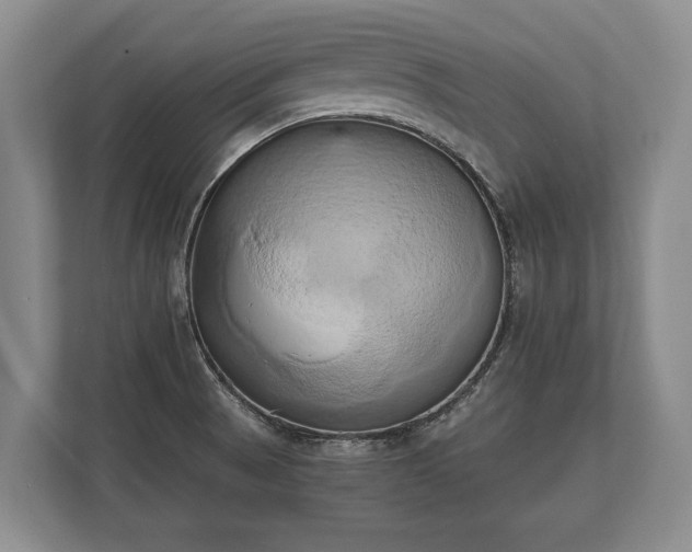 X0000110321521200905281622