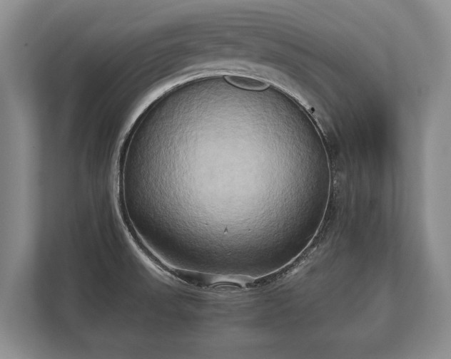 X0000110321523200905281622