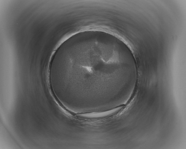 X0000110321525200905281622