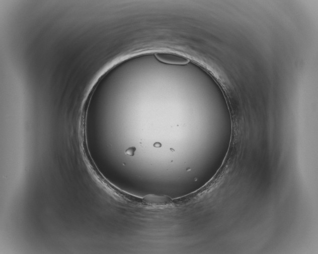 X0000110321526200905281622