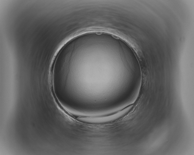 X0000110321527200905281622