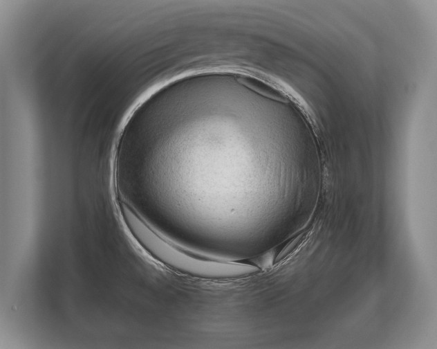 X0000110321528200905281622