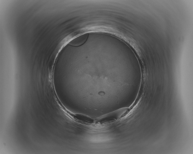 X0000110321529200905281622