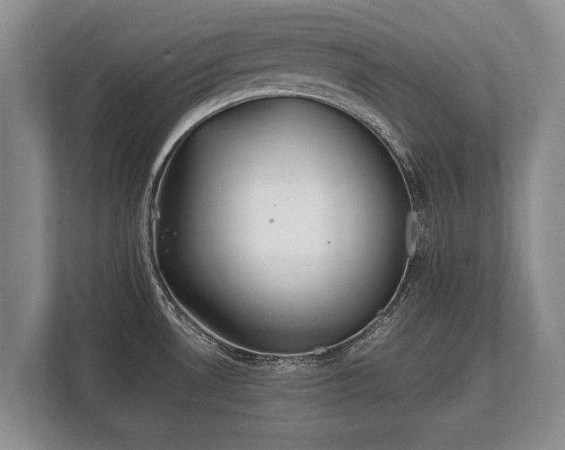 X0000110321530200905281622