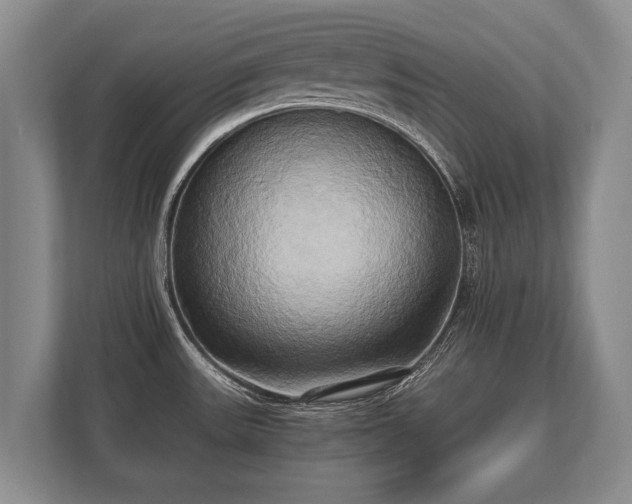 X0000110321531200905281622