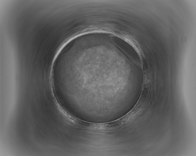 X0000110321532200905281622