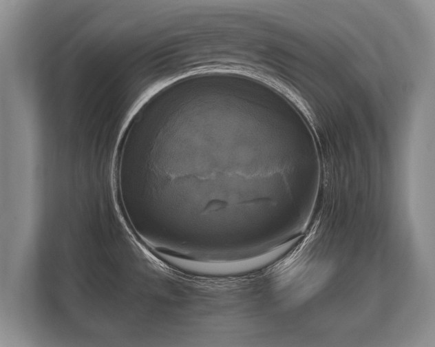 X0000110321533200905281622