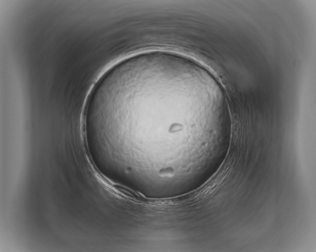 X0000110321535200905281622